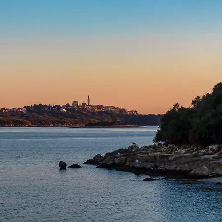 In With One-bedroom 17