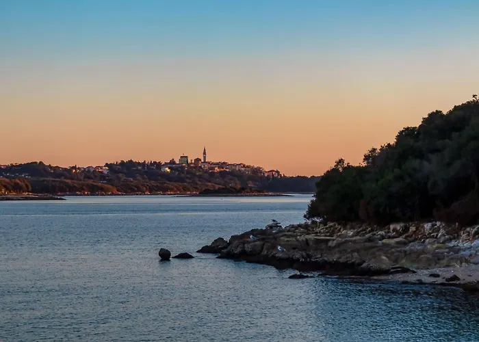 In With One-bedroom 17