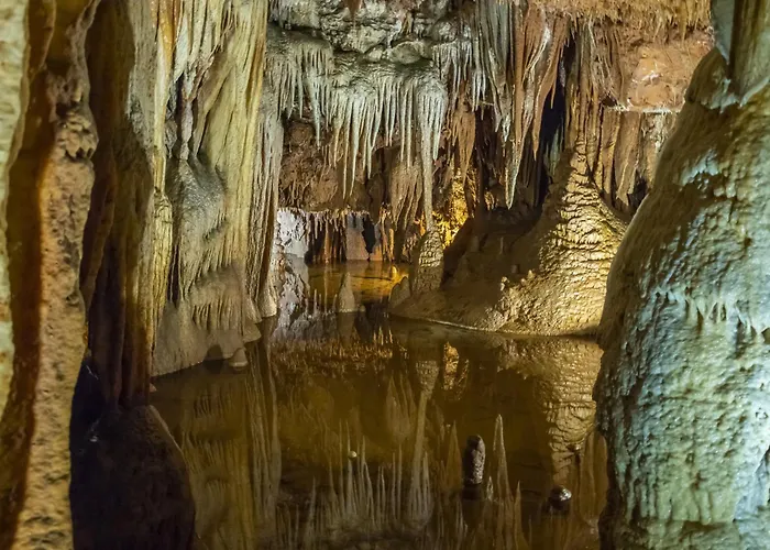 In With One-bedroom 17 Πόρετς