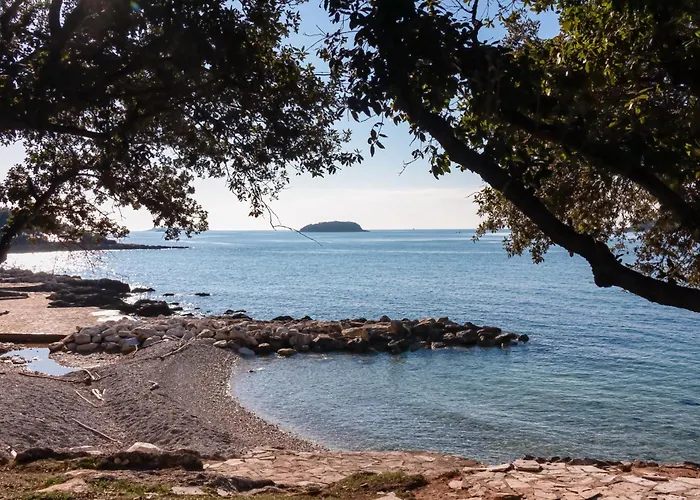 Appartement In With One-bedroom 17